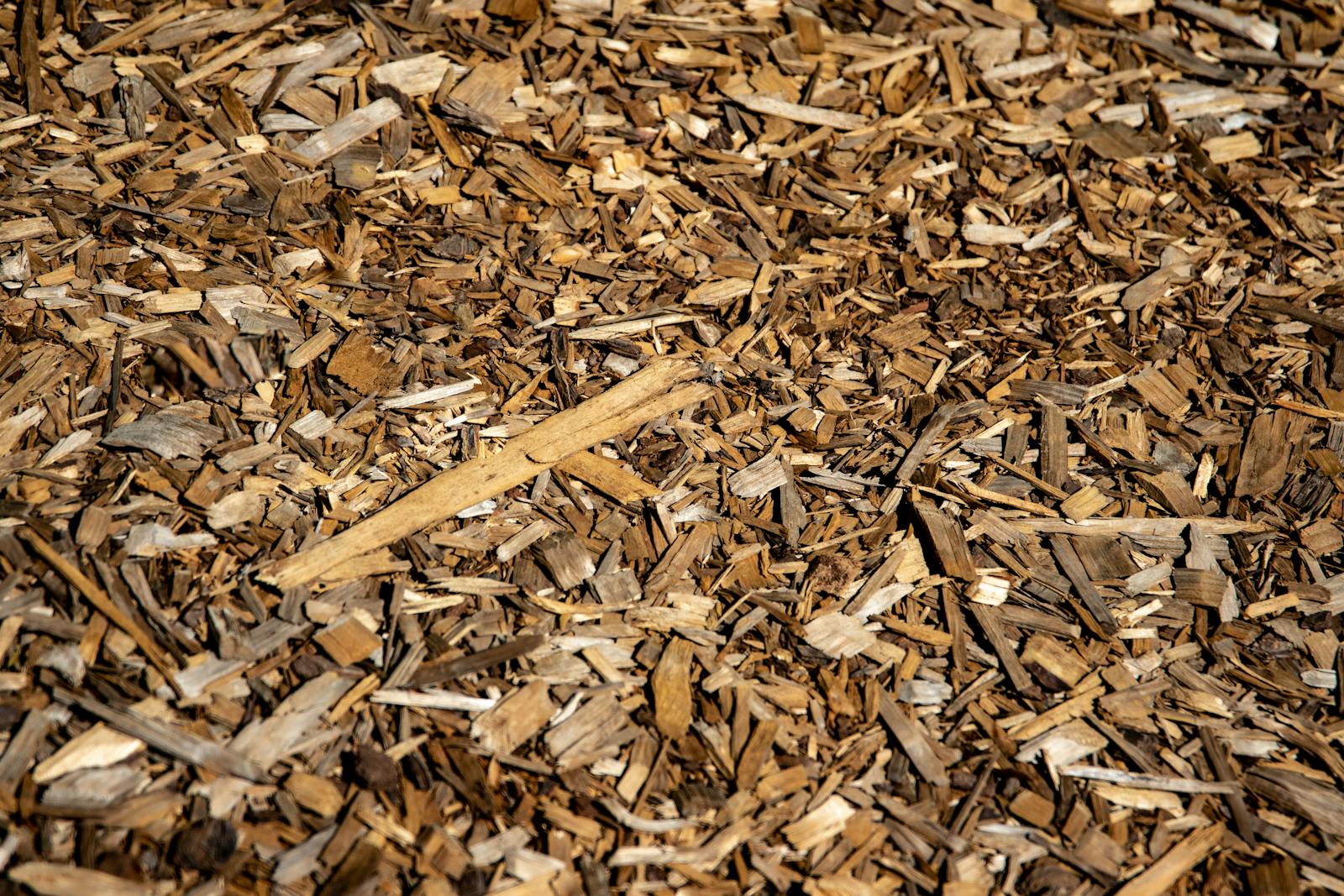 Hardwood-bark mulch spread evenly around the base of a young tree.