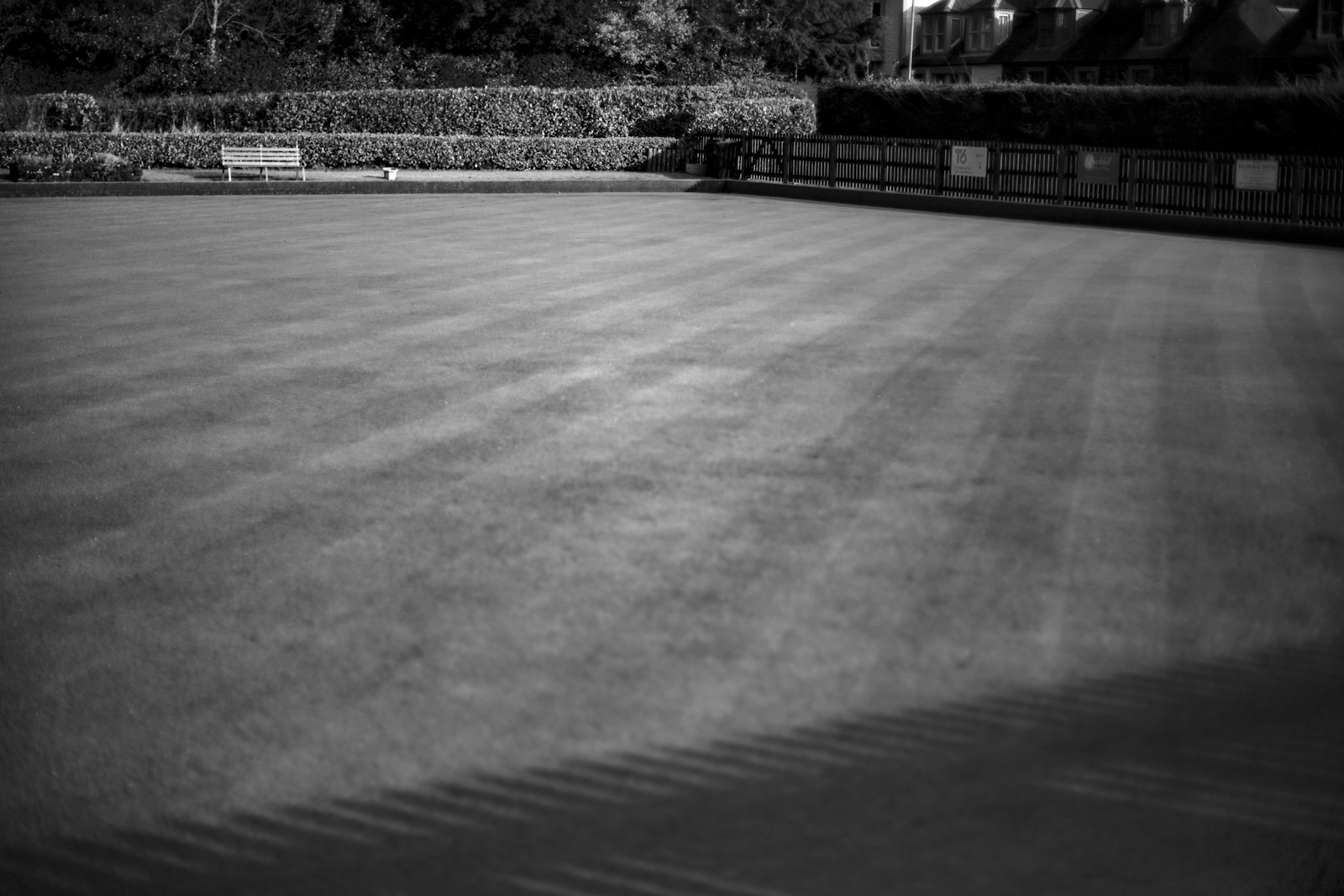 Diagonal stripe pattern across a freshly mowed front lawn.